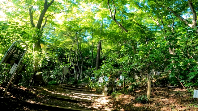 高幡不動 88ヶ所巡り