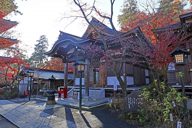 高幡不動 もみじまつり